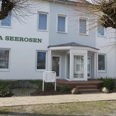 Seerosen *