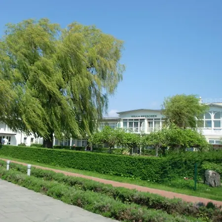 Seerosen